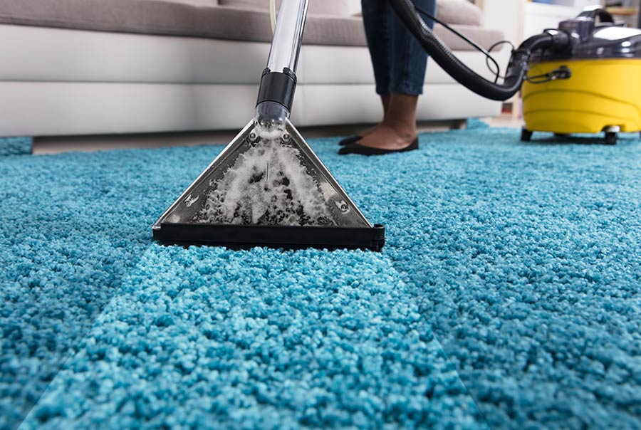 Carpet Cleaning and Area Rug Cleaning Services